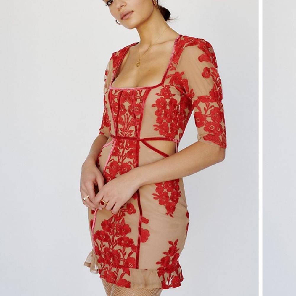 For Love and Lemons Temecula Fall Mini Dress